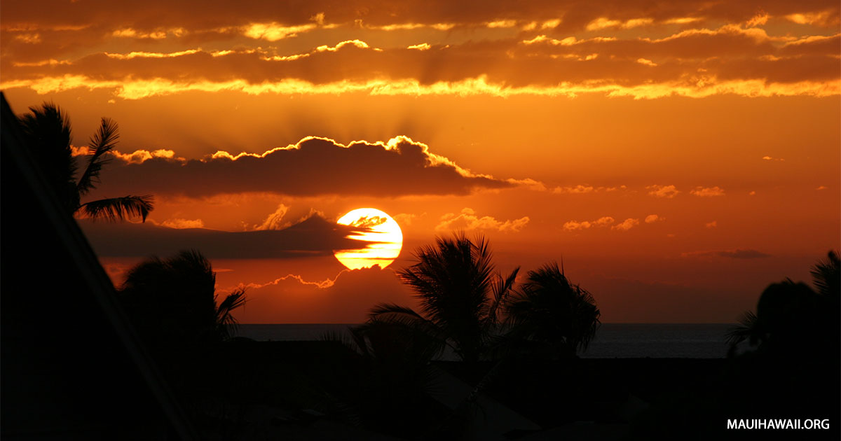 When Is The Best Time To Go To Hawaii and What To Expect