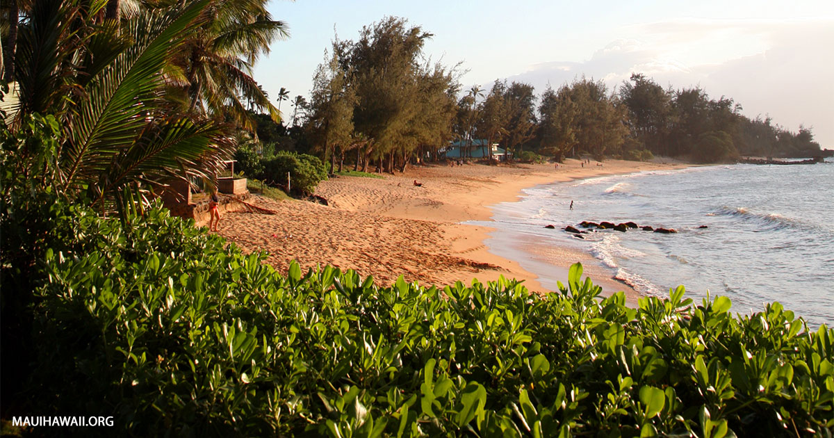 Paia Fish Market Fresh Fish Maui Restaurant in Paia