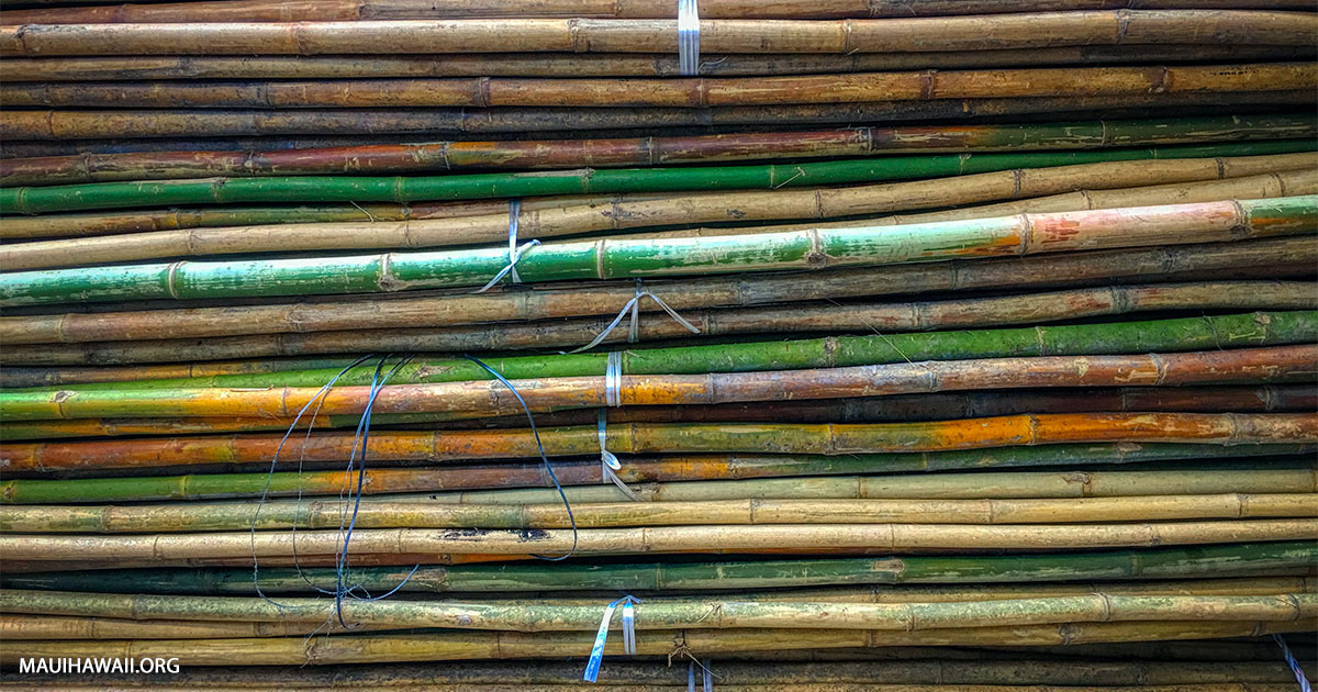 Sugar Museum Two Centuries Of History Maui Hawaii