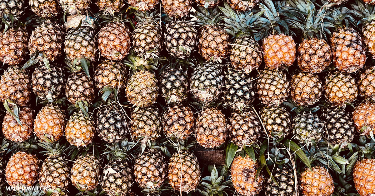 Island Gourmet Markets At The Shops Of Wailea Maui, Hawaii