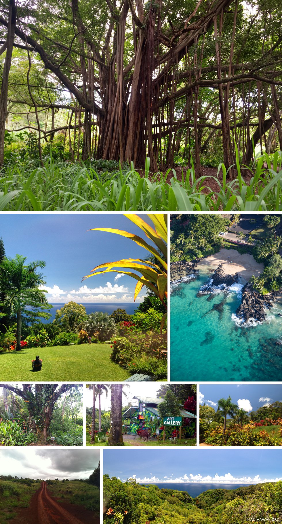 Hidden Gems Of Maui Bamboo Forest, Garden Of Eden Maui Hawaii