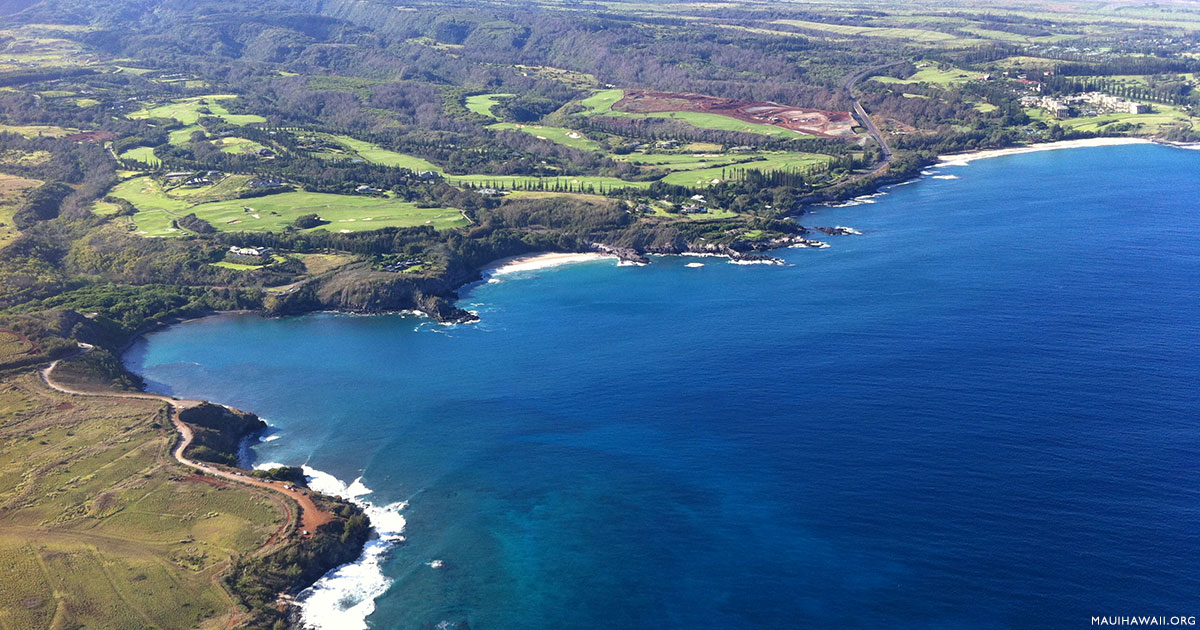 Honolua Jungle, The jungle on the pathway to Honolua Bay, mikebelgard@sbcglobal.net