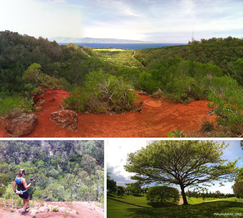 Mahana Ridge Trail