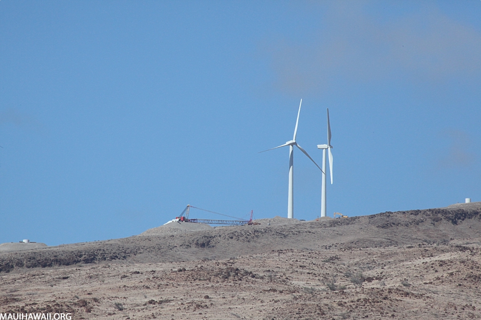 Maui Windmills On Ridge