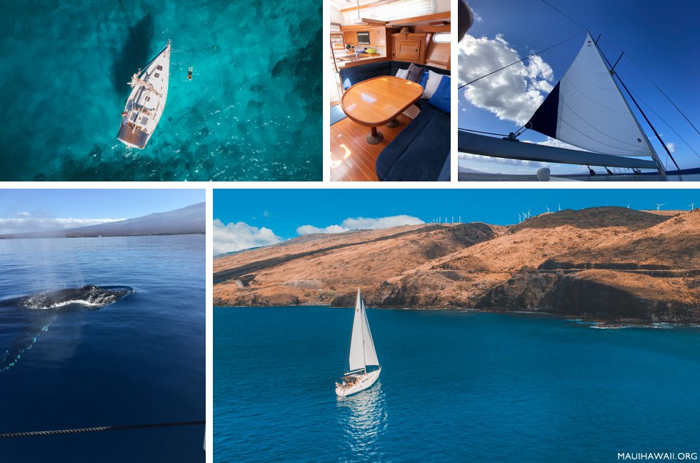 Maui yacht whale watch