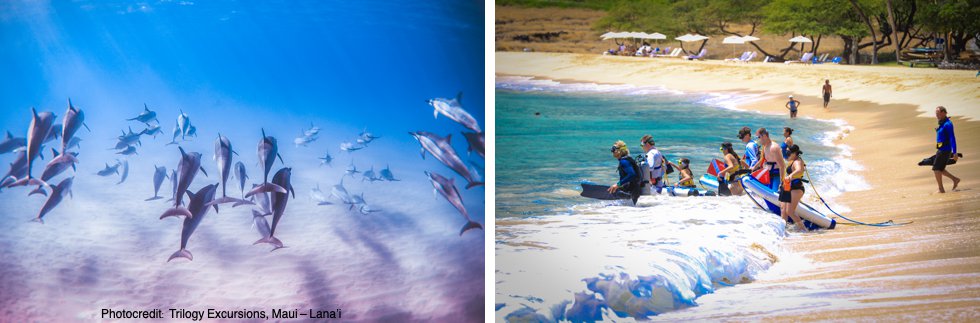 Lanai snuba tour