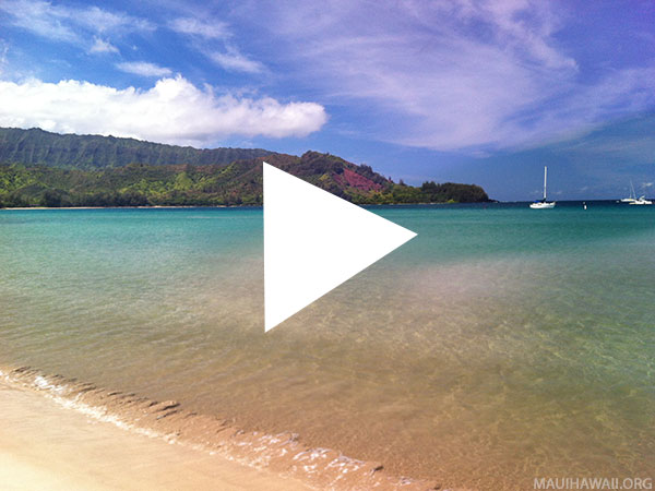 Hawaii Webcams Hanalei Bay