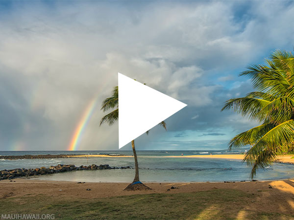 Hawaii Webcams Poipu Beach