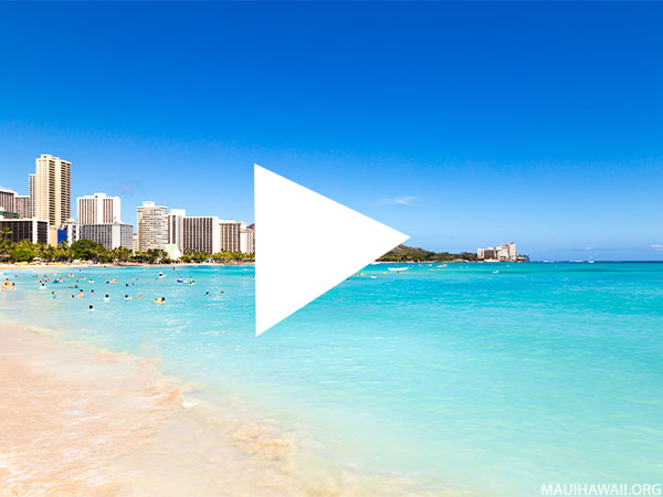 Hawaii Webcams Waikiki