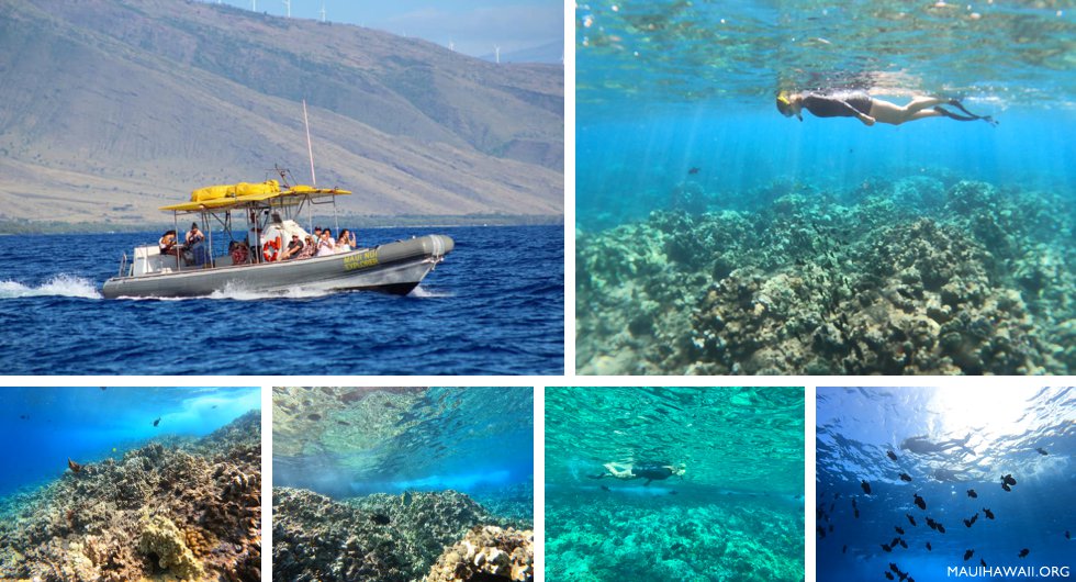 Maui Adventure Cruises