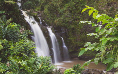 10 Epic Maui Tours