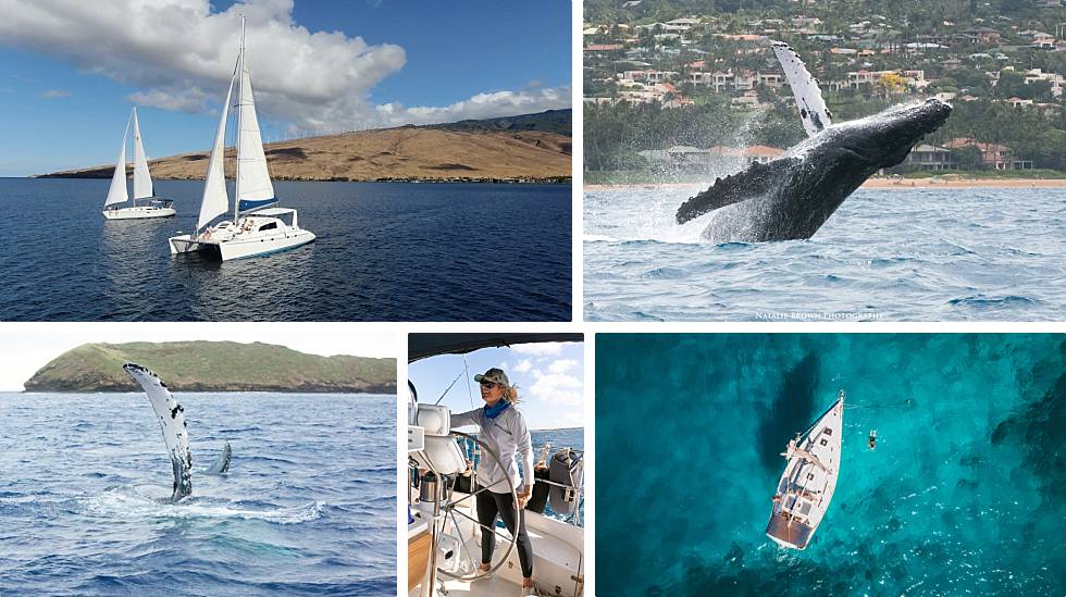 Maui Whale Watching Private Sailing