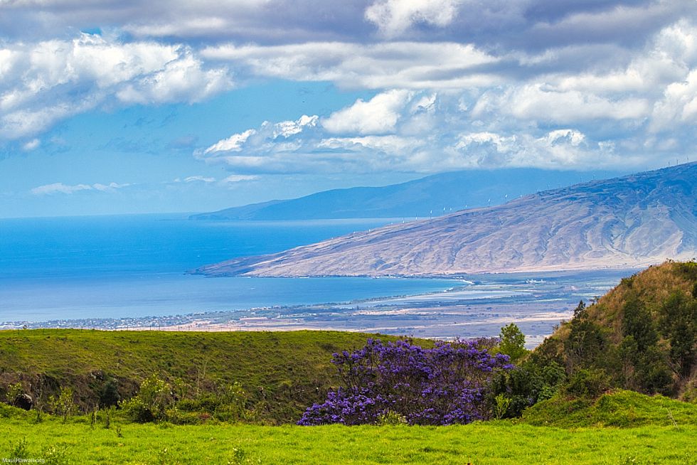 Washington DC to Maui Upcountry