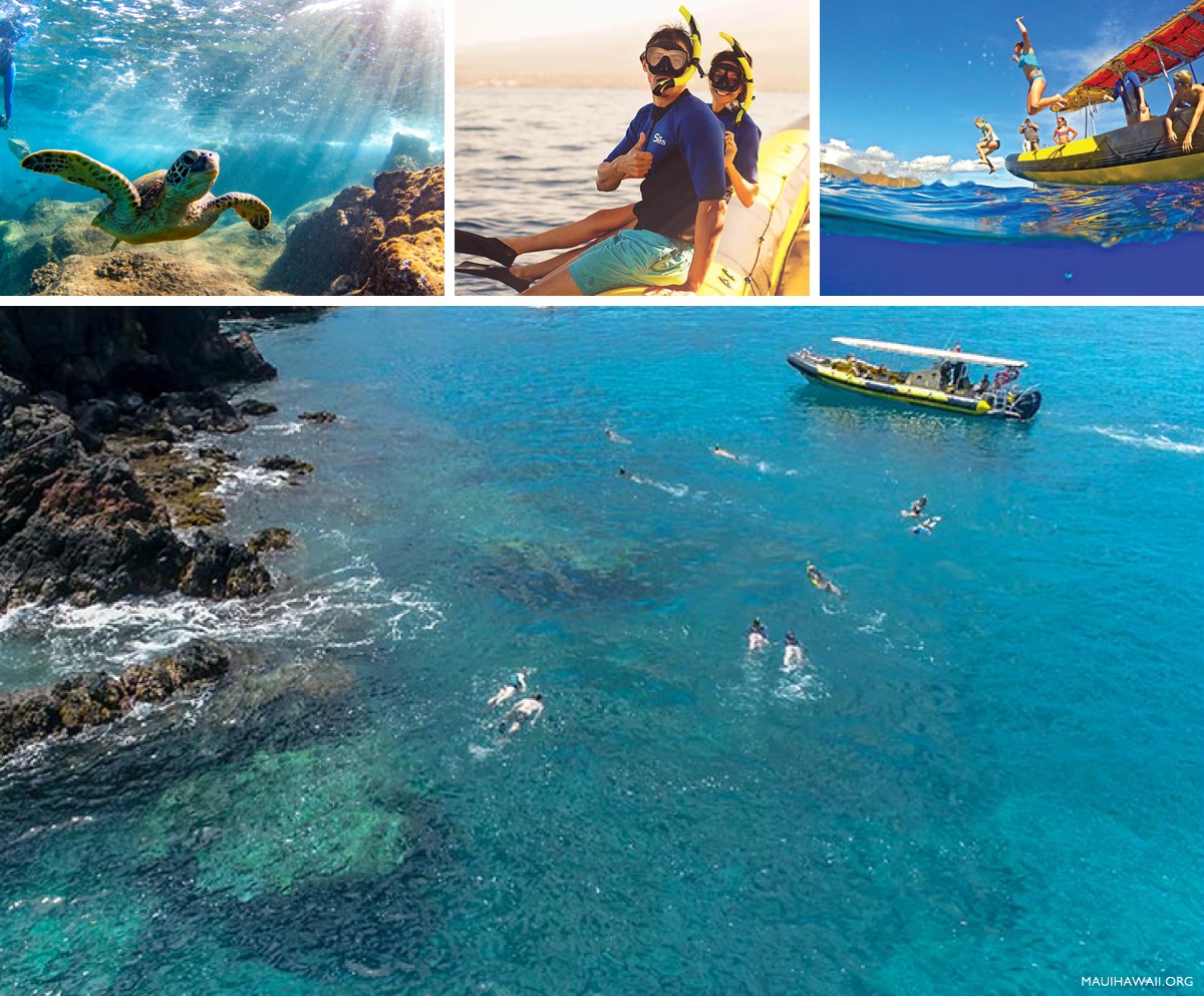 Maui Snorkel charters