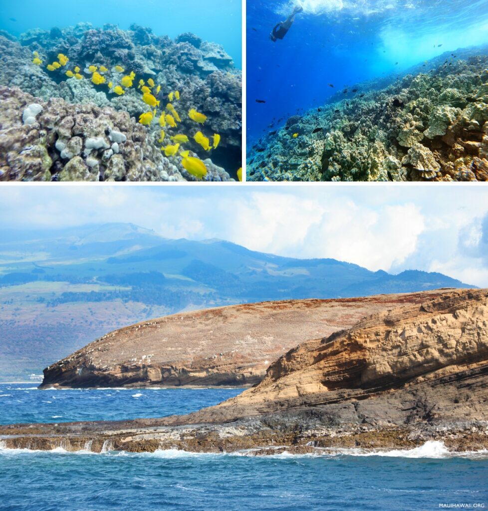 Molokini snorkeling