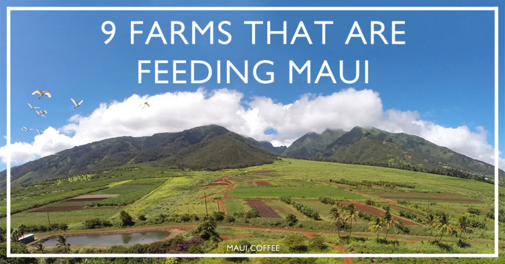 9 Maui farms