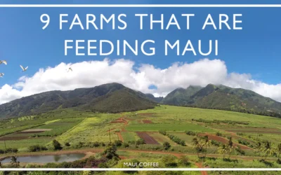 9 Farms that Feed Maui