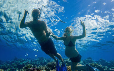 Snorkeling while pregnant on Maui