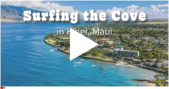 surfing the cove